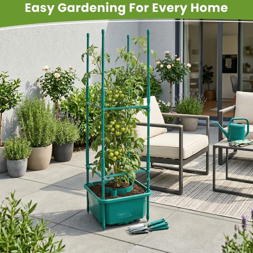 Plant halos set with support - set,