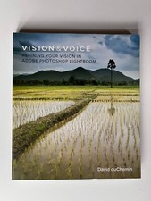 Vision & Voice: Refining Your