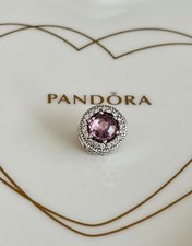 🩷 Pandora ESSENCE Charm