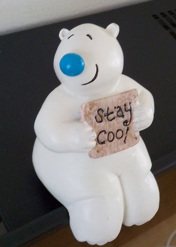 Cute polar bear the - on, shelf