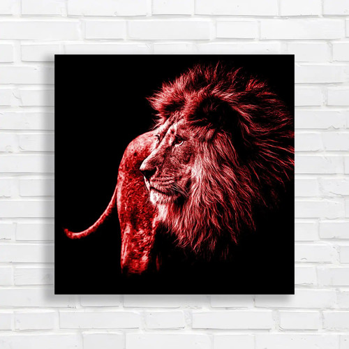 Lion the shadows square - shadows, red