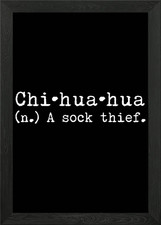 Chihuahua A Sock Thief Framed
