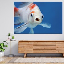 A Fish With Open Mouth & Big Eyes 3d View Wall Sticker Poster Decal A982