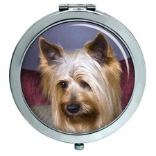 Australian Silky Terrier