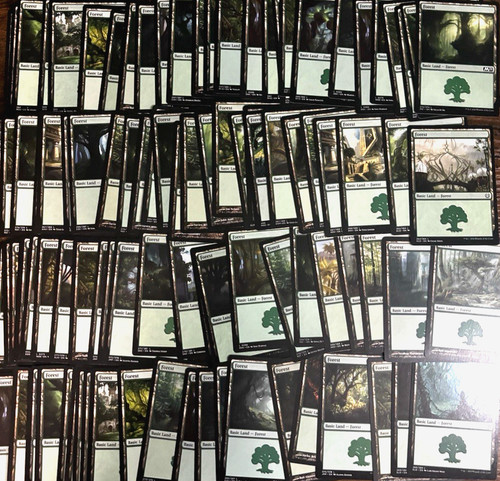 Mtg 100 basic forest land - mtg,