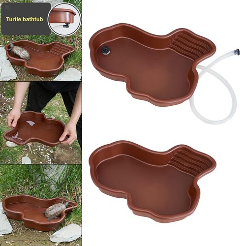 Reptile bathing pool - reptile, feeding