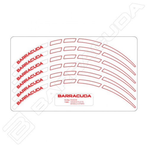 Barracuda complete kit white - barracuda,