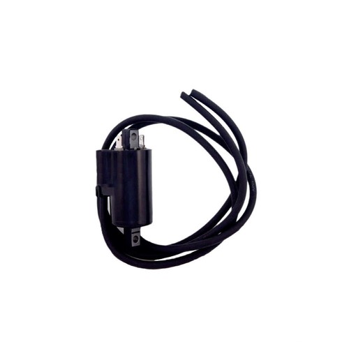 Ignition coil 12v - coil,