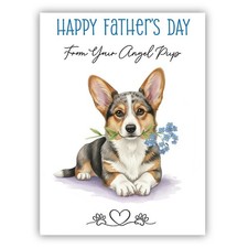 Cardigan welsh corgi - cardigan,
