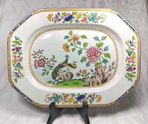 Antique spode peacock pattern - antique,