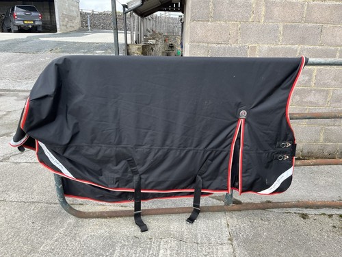 Premier equine buster - buster, hardy