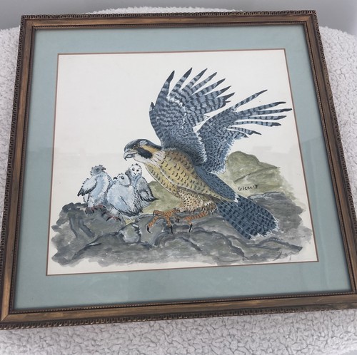Peregrine falcon with chicks - falcon,
