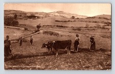 Cyprus: Women Ploughing