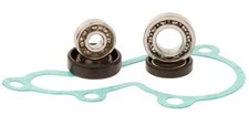 Water Pump Revision Kit For