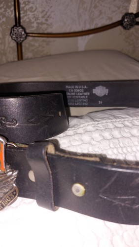 Harley davidson buckle - harley, and