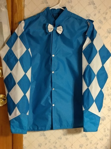 Horse racing jockey silks this - horse,