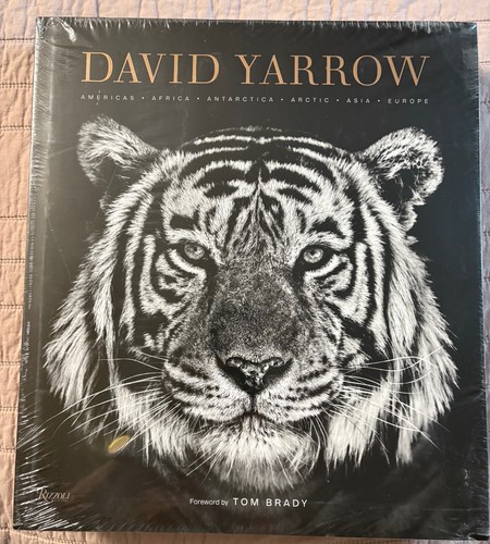 David yarrow photography - david,