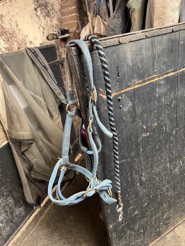 Monty roberts dually training - roberts,