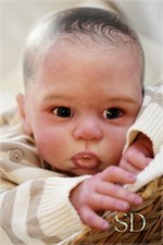 Studio-Doll Baby  Girl reborn