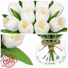 DILATATA White Tulips