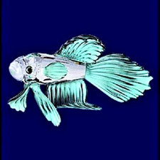 Swarovski Crystal "SIAMESE