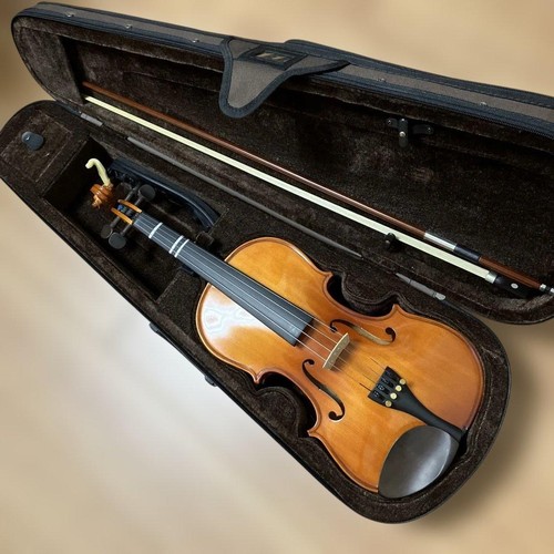Stentor beginner violin - stentor,