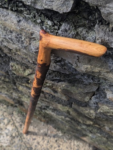 Lightweight blackthorn - lightweight,