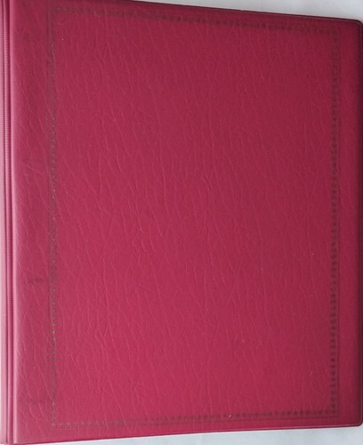 Large unbranded binder - large,