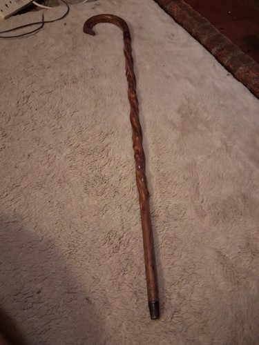 Walking stick absolutely - walking,