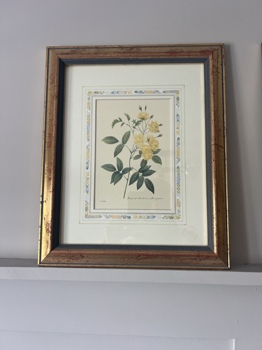 Yellow roses limited - yellow,