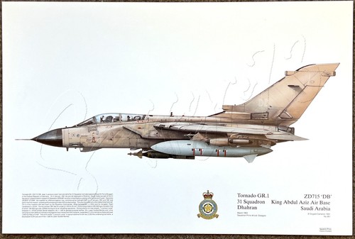 Tornado gr1 zd715 squadron - tornado,