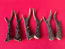 3 PAIRS OF ROE DEER ANTLERS 202g. aprox.13cm.