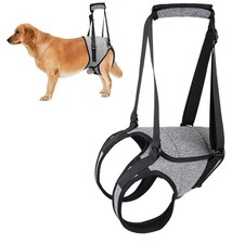 Carrying Aid Dog - for the