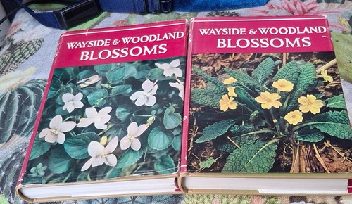 Wayside and woodland blossoms - and,