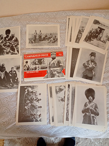 Campaigns focus british - campaigns,