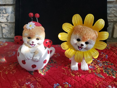 Pomeranian sunflower and - sunflower,