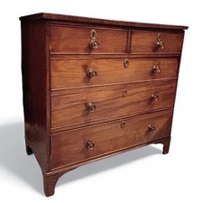 Georgian mahogany chest - georgian,