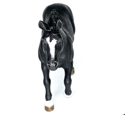 Schleich special appaloosa - special,