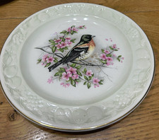 Vintage Pair of Palissy Royal Worcester Spode Bird Plates