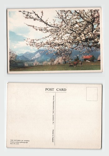Postcard the return - postcard, of