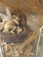 Freshly Caught Fairy Baby