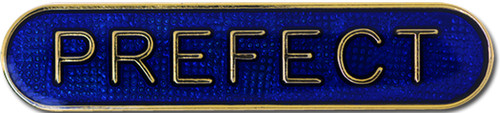Prefect pin badge blue - pin, in