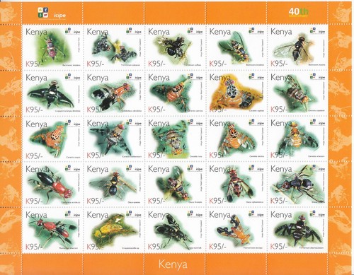 2011 kenya icipe - ,