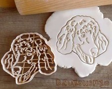 Poodle Pudel Caniche Standard