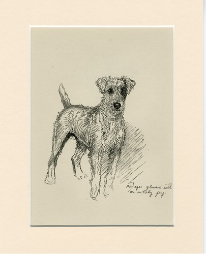 Irish terrier vintage 1939 - irish,