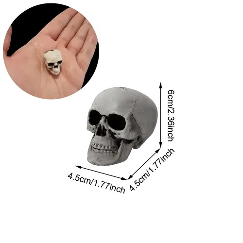 Halloween realistic skull - halloween,