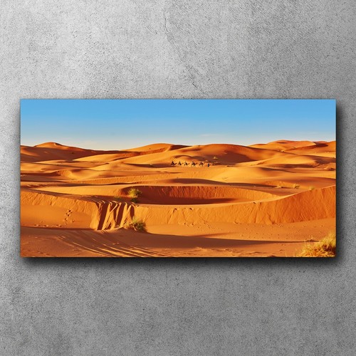 Camel caravan sahara - camel,