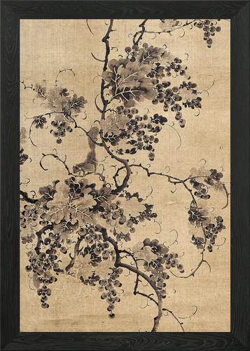 Antique grapevine painting - grapevine,