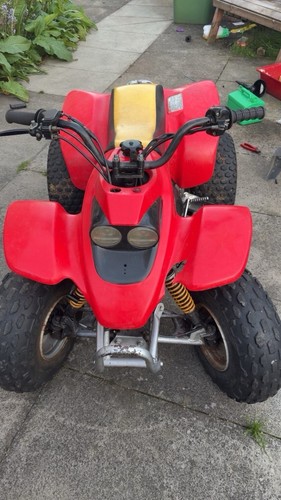 Quadzilla r100 atv child - quadzilla,