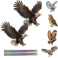 Hawk Bird Scarers Pigeon